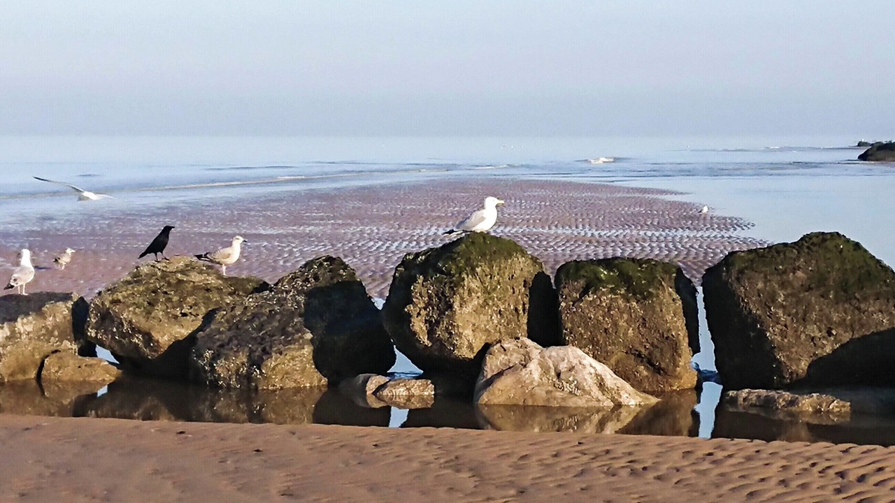 Photo of Others in Thornton-Cleveleys