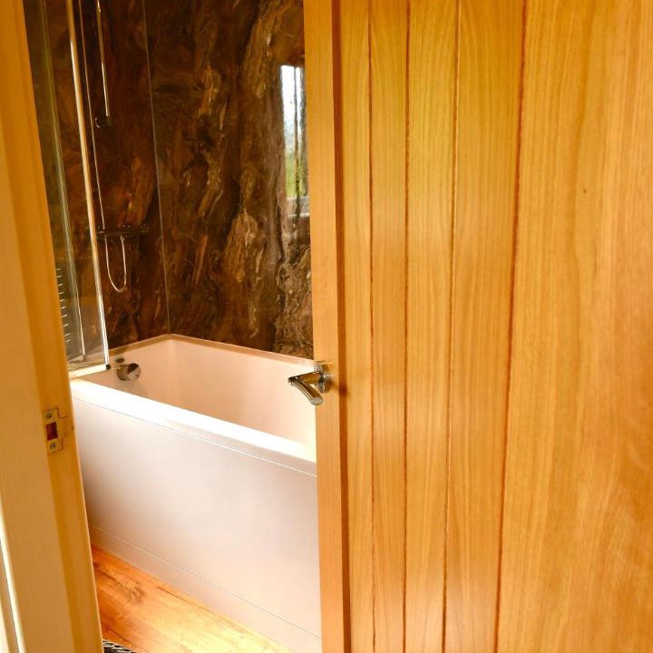 Photo of Bathroom in Mold