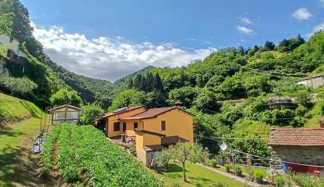 Gorgeous home in Fabbriche di Vallico with house a panoramic view